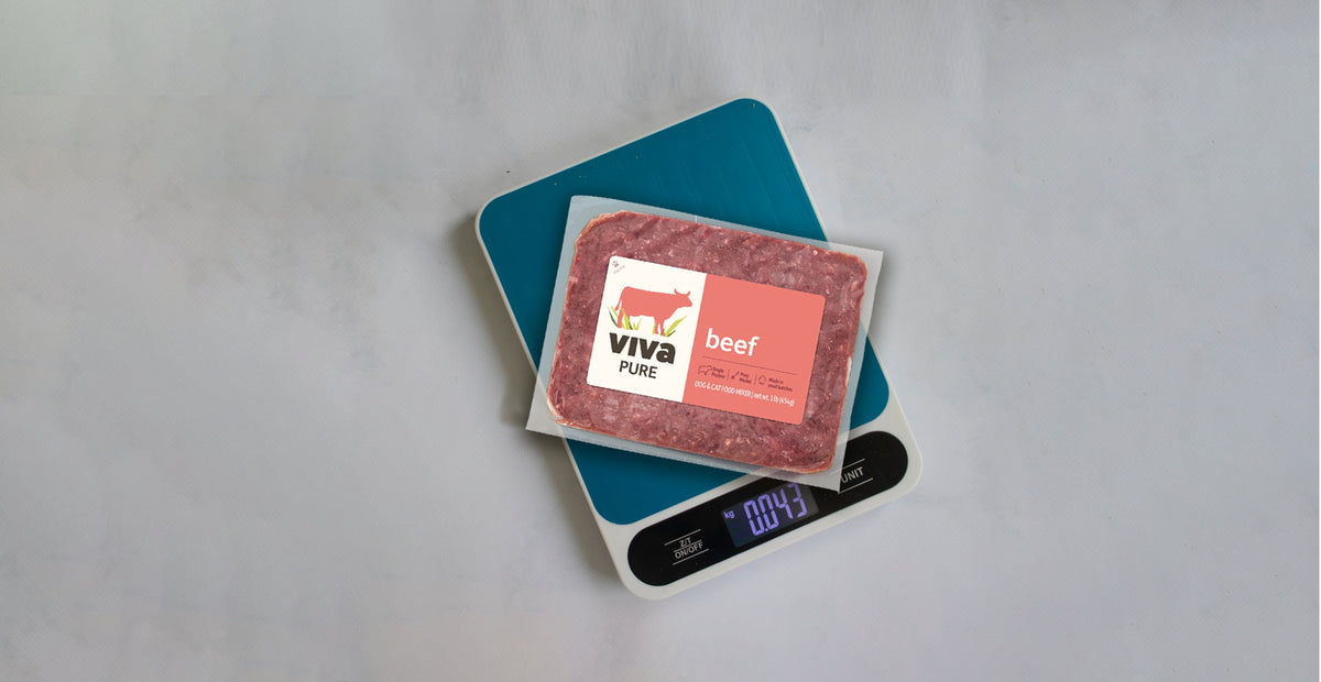 package of pure viva on a food scale
