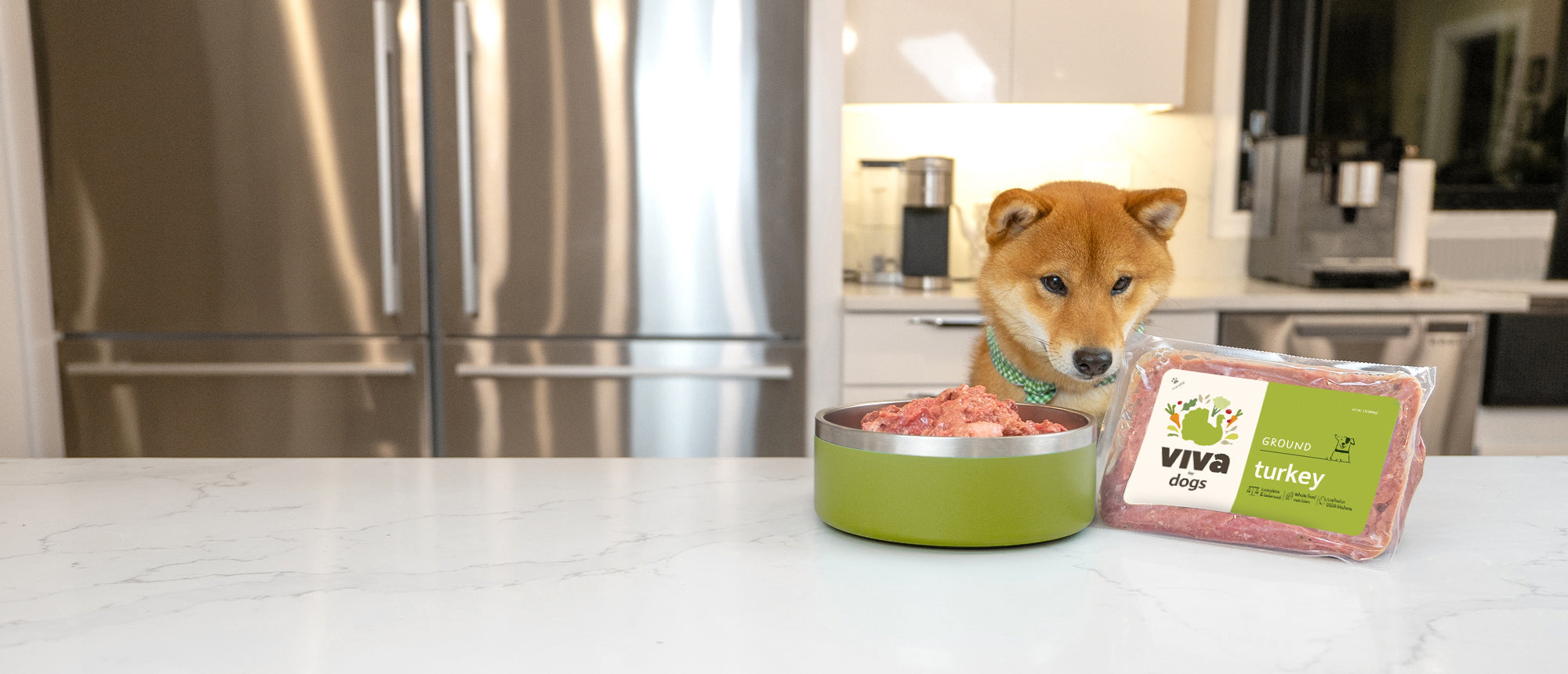 Dog staring at a pack of Viva’s Turkey for Dogs on a kitchen counter