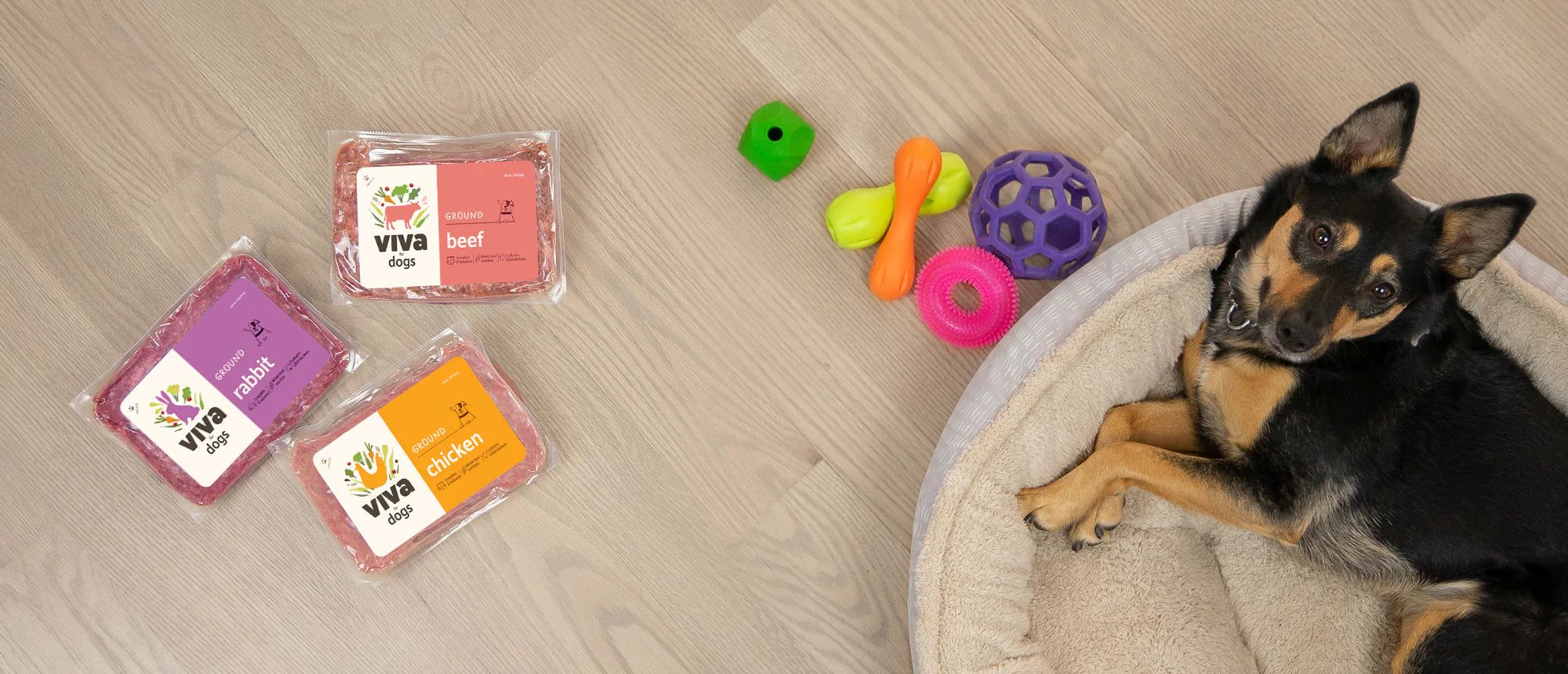 Packs of Viva next to a dog that’s laying down  on a pet bed