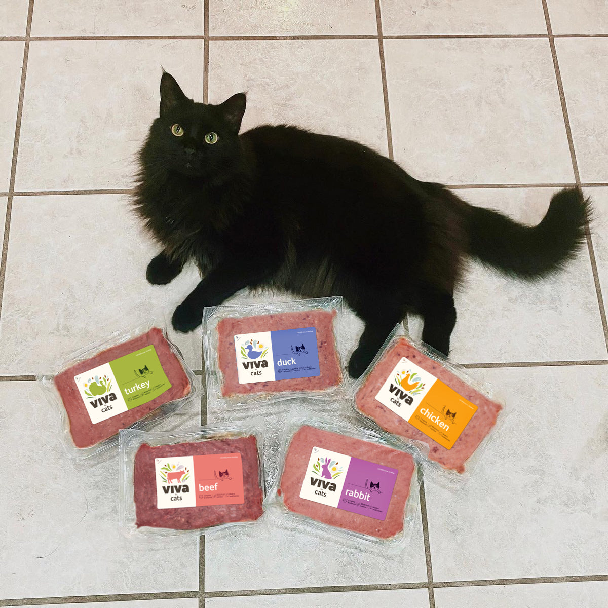 Black cat lying on tiled floor surrounded by five vacuum-sealed packages of Viva raw cat food in various flavors