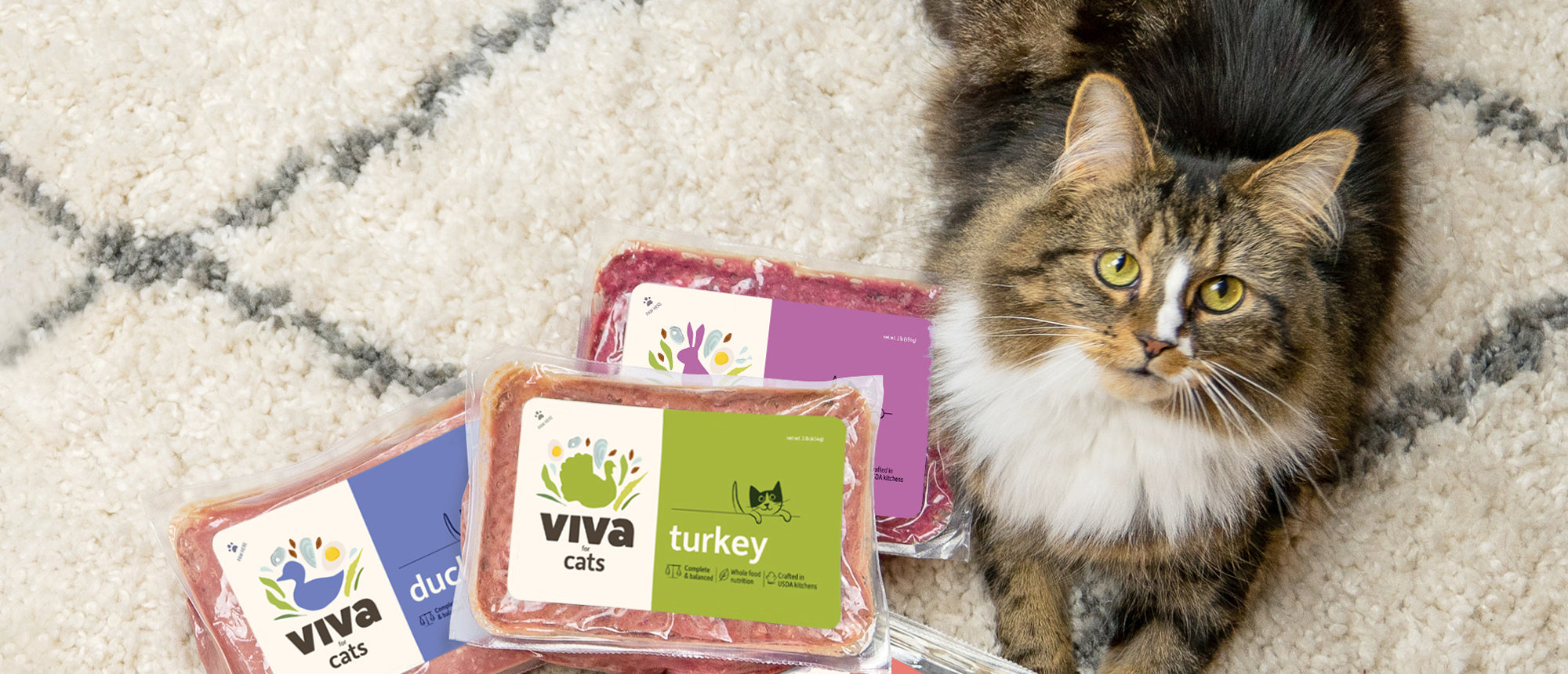 A cat next to packs of Viva for Cats