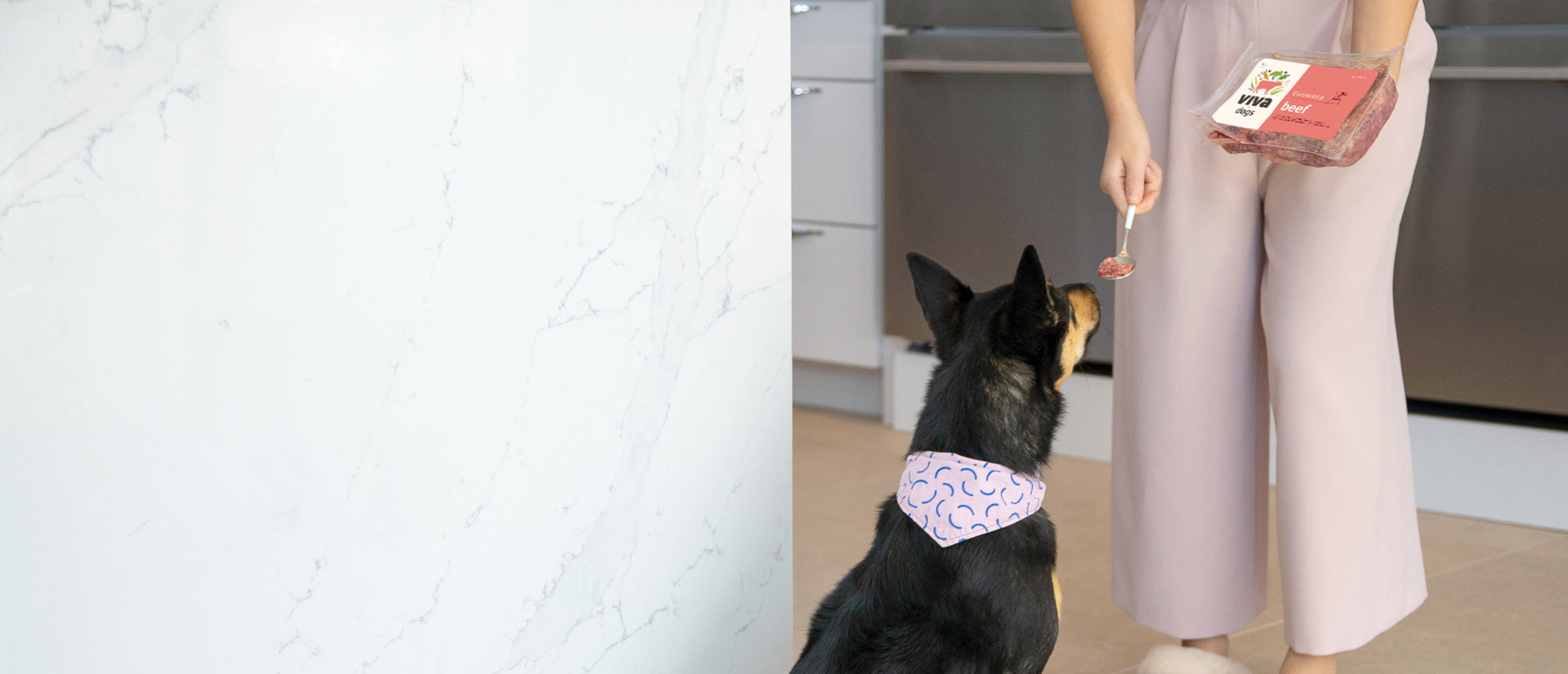 A dog being served a spoon of Viva Beef for Dogs