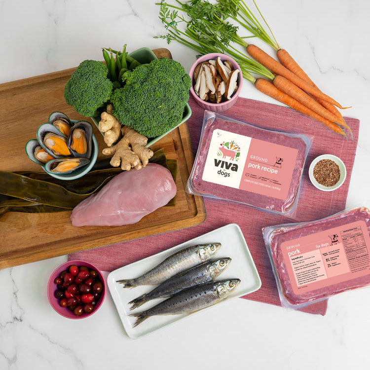 Viva Raw ground pork dog food surrounded by fresh ingredients like broccoli, carrots, sardines, and mussels
