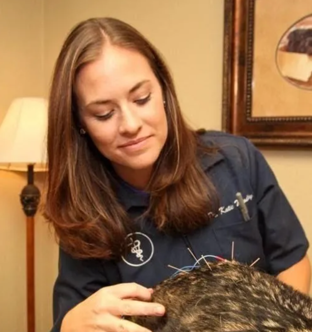 Screen Shot 2023-06-12 at 9.34.10 PM.png__PID:6415fd61-3d54-4d35-ae7f-79914c0abc0b