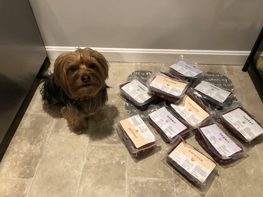 A dog standing next to packs of Viva for Dogs