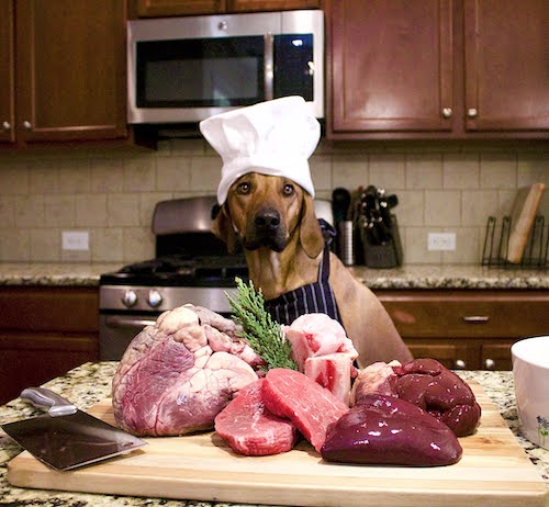A brown dog sitting in front of a wooden board with various meats and herbs on a kitchen counter