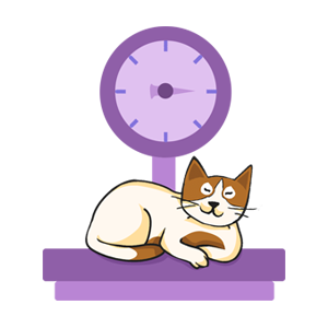 Cartoon calico cat resting on a purple platform beneath a large purple wall clock.