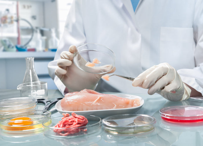 Person in lab coat putting a piece of meat in a petri dish