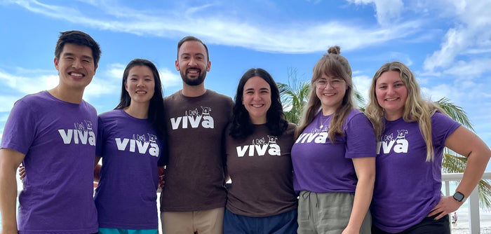 Team Viva on one of our company trips