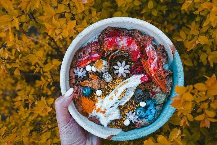Decorated bowl of raw pet food