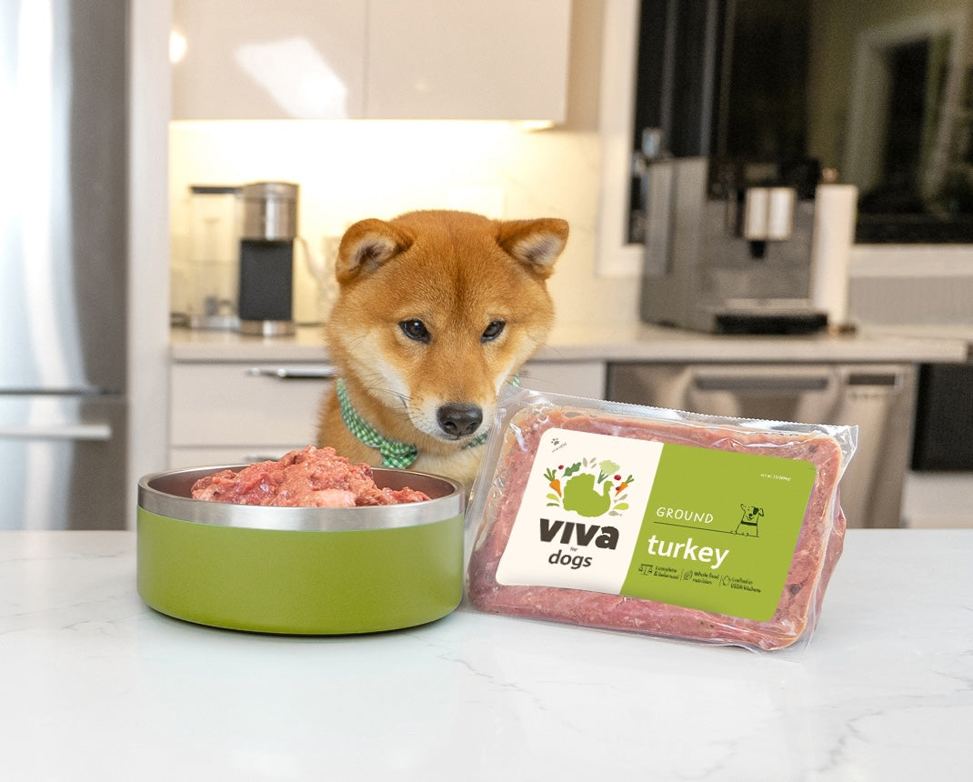 How to Start Feeding Fresh Viva Raw