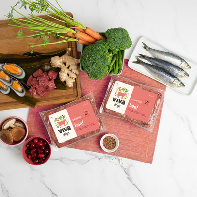 Raw Dog Food Delivered | Viva for Dogs