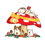 Mystery Gift