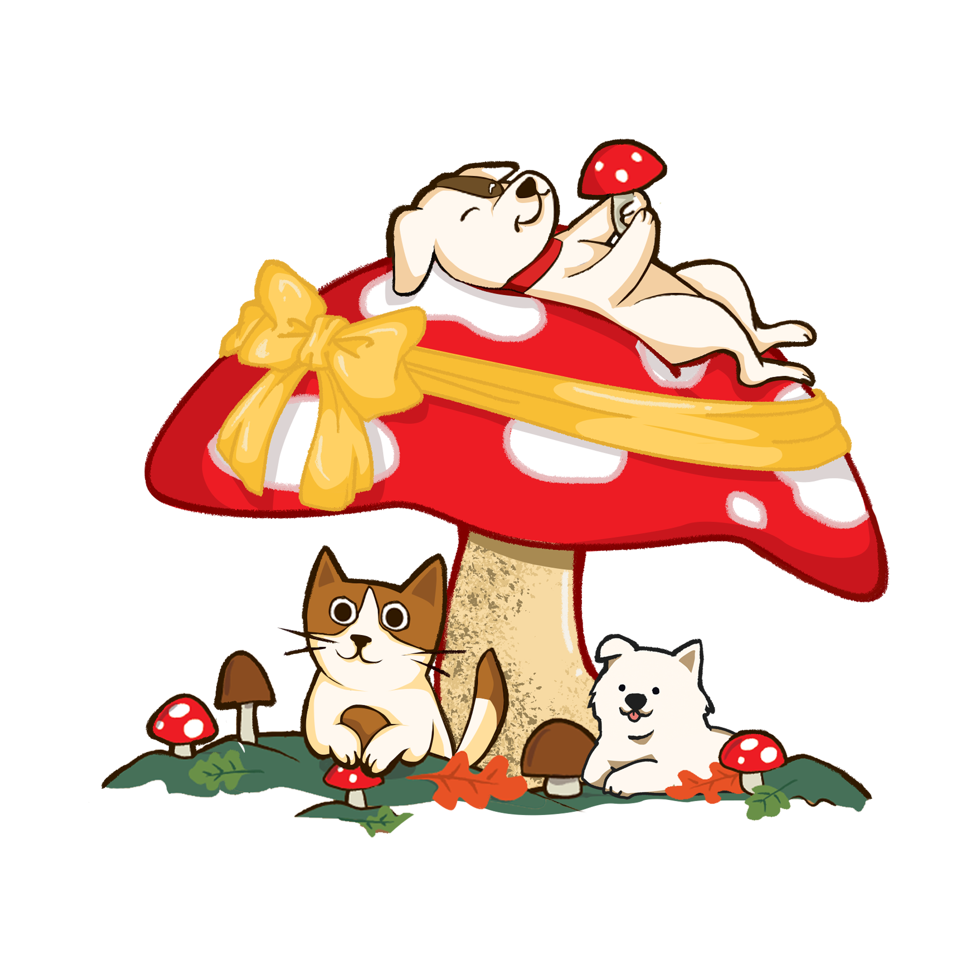 Mystery Gift